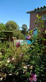 Canopee by Pinarello Villa Services - Zonza - 4