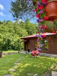 pınar kır evi - Artvin - 8