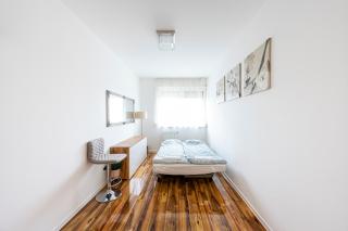 TP Spacious Stylish Free parking - Szeged - 2
