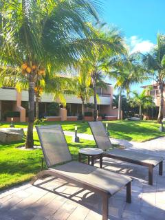 Eagle Beach luxury house, walking distance to the beach - Palm-Eagle Beach - 8