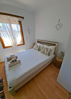 EVRIAKI'S HOUSE - Apidias Lakos - 9