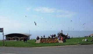 Cosy Cabin near Heacham Beach, Free Parking - Heacham - 9