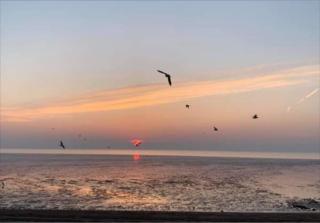 Cosy Cabin near Heacham Beach, Free Parking - Heacham - 2