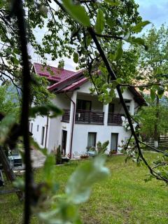 Vila CETINA - Fundu Moldovei - 5
