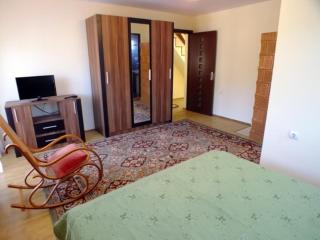 Vila CETINA - Fundu Moldovei - 3
