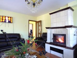 Vila CETINA - Fundu Moldovei - 2