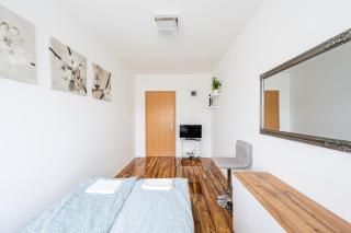 TP Spacious Stylish Free parking - Szeged - 1