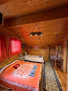 Wooden cottage with private pool near to sea - Dhrosiá - 9