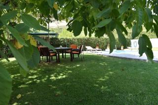 Wooden cottage with private pool near to sea - Dhrosiá - 3