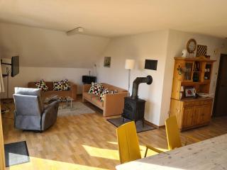 Spacious Apartment in Frankenau Hesse near the Forest - Frankenau - 2