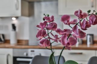 Heart of the City-Flexi Cancellations-Central Hub - Sheffield - 7