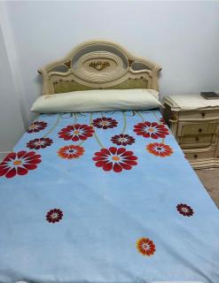 Roma apartment - Dumyat al Jadidah - 2