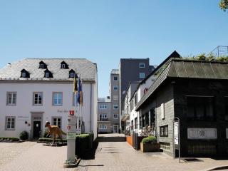 Apartment with Balcony near the Luxembourg's Border - Bollendorf - 0