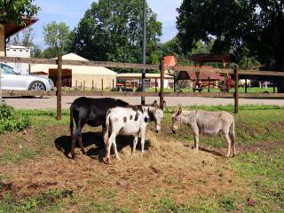 Holiday home Oliver, Wendorf - Wendorf - 6