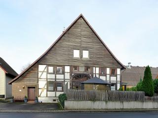 Cozy Apartment in Löwensen Lower Saxony with Private Terrace - Bad Pyrmont - 3