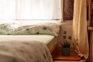 Magnolia - Union Lido - 7