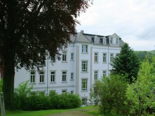 Alluring Villa in Grunhainichen-Borstendorf with Garden - Leubsdorf - 3