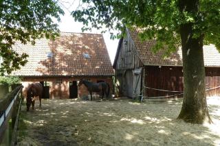 Ferienwohnung in Dorfmark - Dorfmark - 7