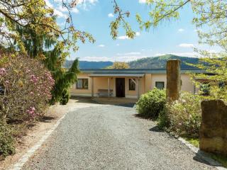 Modern holiday home with shared swimming pool in Mittelndorf - Mittelndorf - 7
