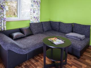 Modern holiday home with shared swimming pool in Mittelndorf - Mittelndorf - 5
