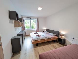 Apartman Stelvio - Janské Lázně - 7