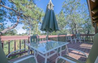 The Abba's Nest with Hot Tub BBQ and Large Backyard! - Big Bear Lake - 6