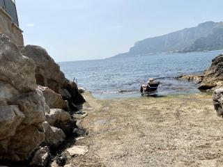 Charlotte - Palermo - 2