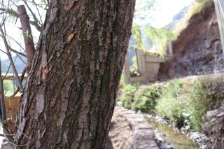 Obrajillo Eco-Lodge - - 2