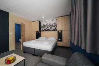 Nise Mountain Apartman A25 Hrabovo - Malinô Brdo - Ružomberok - 6