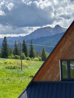 Tatra Twin House - Kościelisko - 7