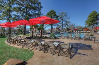 Lake Conroe One-Bedroom Cabin 3 - Willis - 7