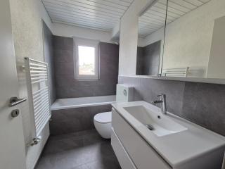 Apartment for 7, close to Zurich and Luzern, free private parking - Wohlen - 7