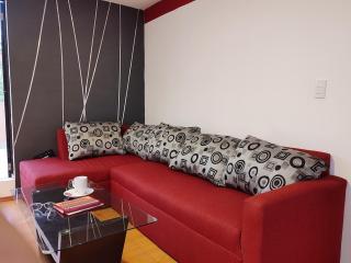 Downtown apartmen with private terrace - Città del Messico - 4