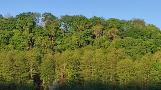 la maison blanche a Hermeton sur Meuse - 5