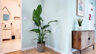 Green House Apartamento Espaçoso e Central - 2