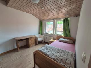 Ferienwohnung Goldener Löwe - Heiligenstadt - 1