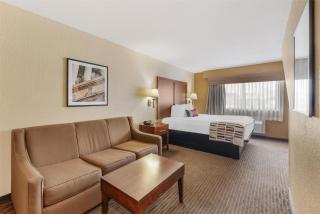 Best Western Alamo Suites - San Antonio - 8