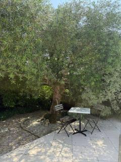 L'eden naturiste spas - Challans - 4