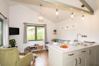 Birch Banc Retreats - Bedw Cabin - - 8