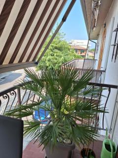MiNi Paradise - 1