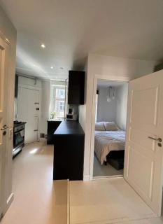 Vesterbro star apt - Copenaghen - 7