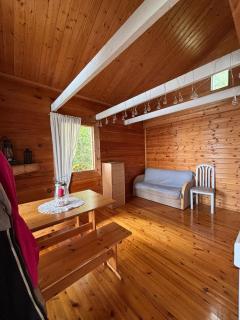 Traditional Finnish lakeside off-grid cabin - Joensuu - 8