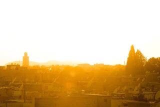 Abelia Riad - 2024 traveler's Choice Award - 2