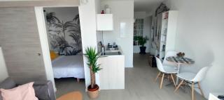 Le doux viking appartement cosy balcon parking Caen Beaulieu - Caen - 7