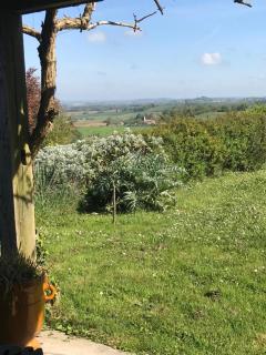 Le clos des mésanges - 2