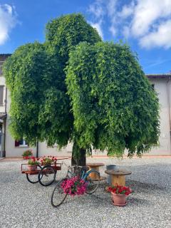 Pitaciò Affittacamere - Vicomero - 0
