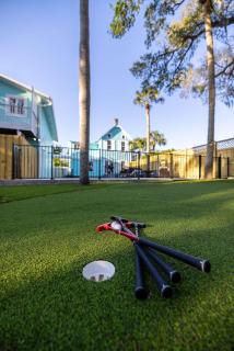 Elegant Pool Retreat with Firepit - Palm Harbor - 7