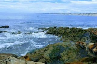 Studio w Private Entrance Convenient and Cozy - 1