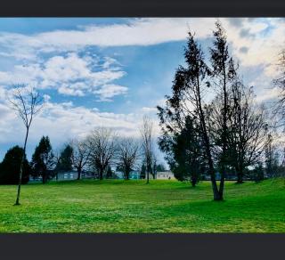 Vancouver park home Psalm 37 - Vancouver - 9