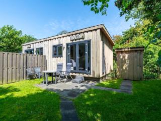Chalet in Texel near Beach and Forest - Sint Maartenszee - 1